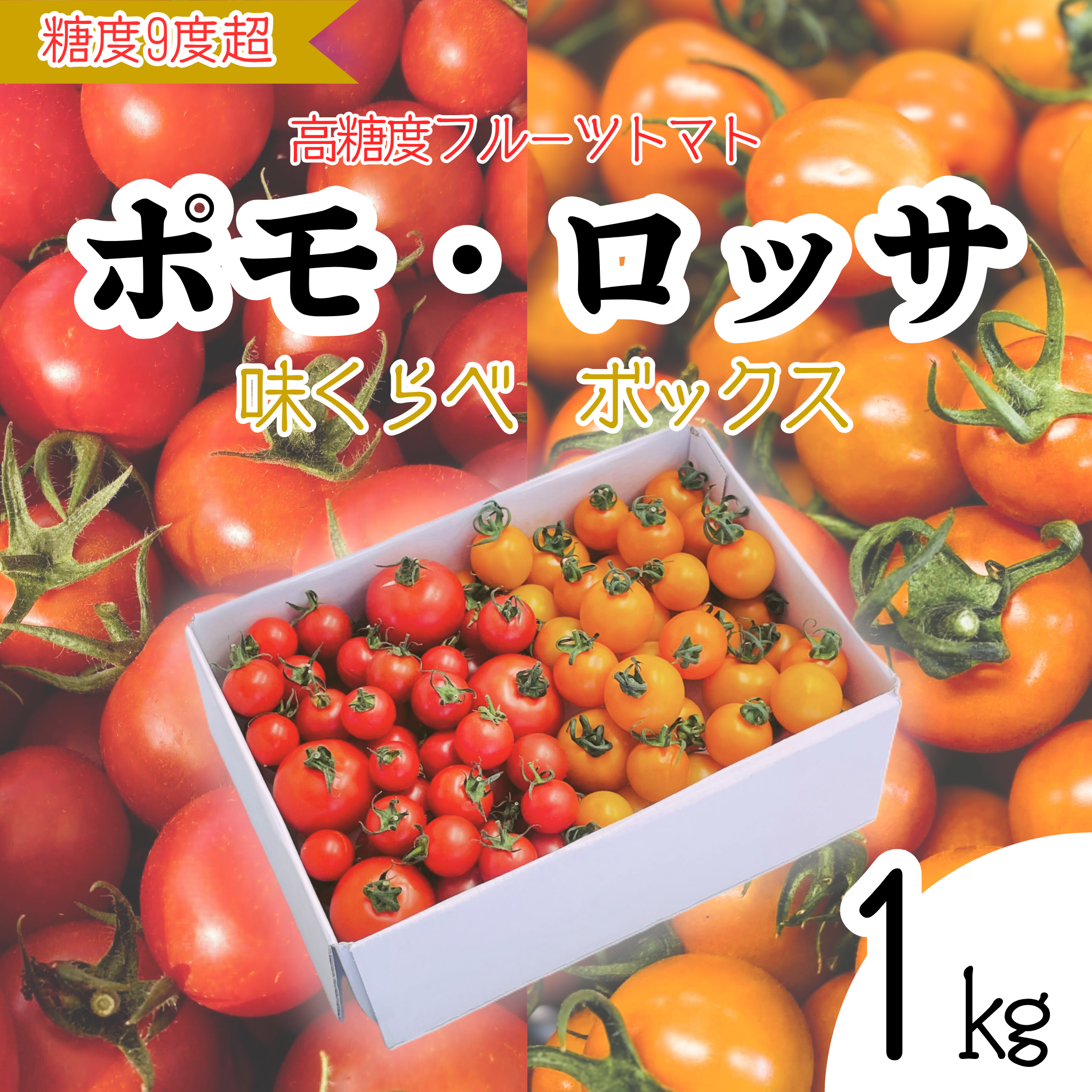 数量限定|ポモ・ロッサ 味くらべボックス 1kg|赤とオレンジ、2種のフルーツトマト詰め合わせ1kg