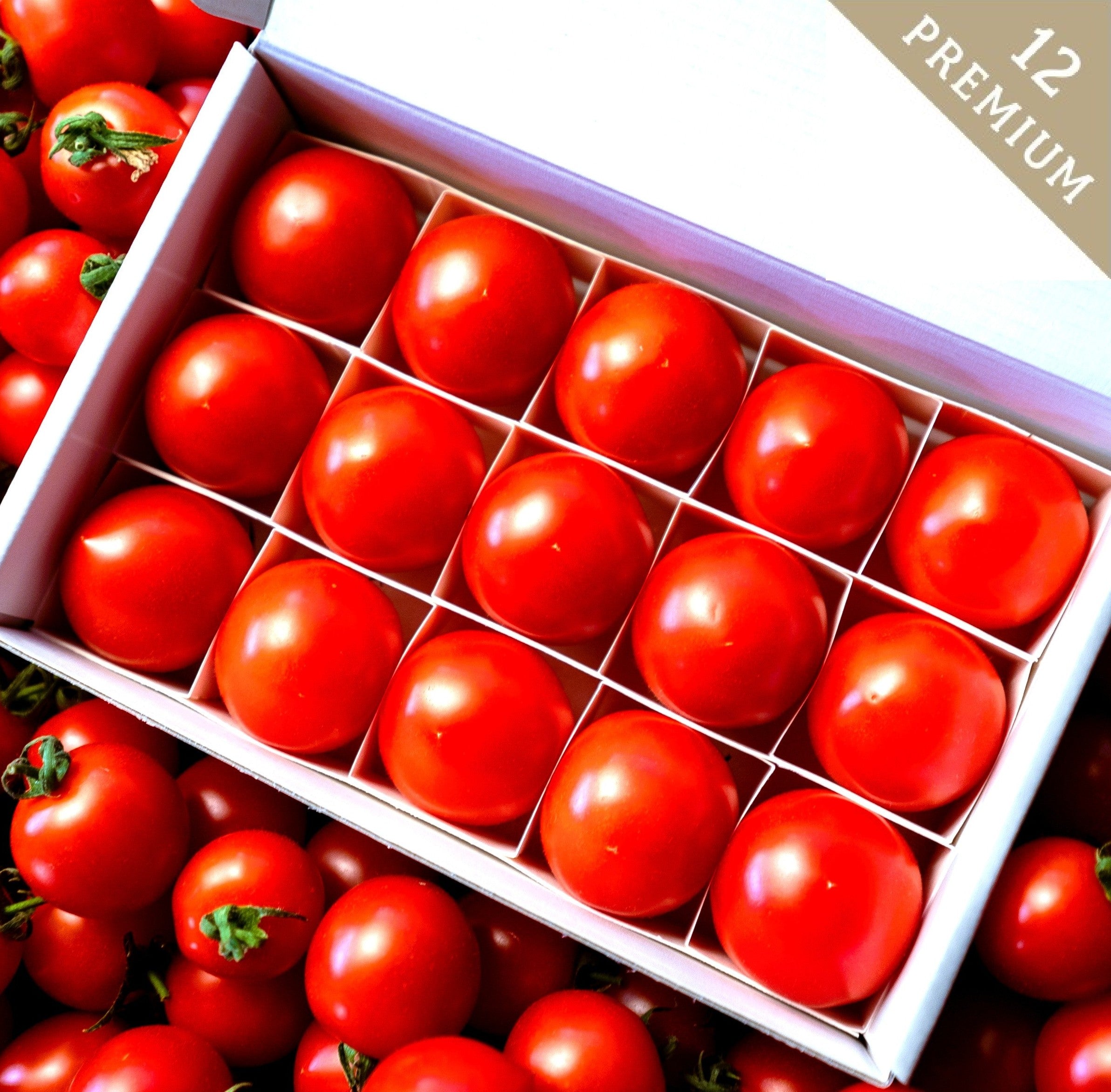 ≪12月15日発売≫ 限定品|【糖度12度超】極上濃厚フルーツトマト「ポモ・ロッサ プレミアム12」 ≪化粧箱≫