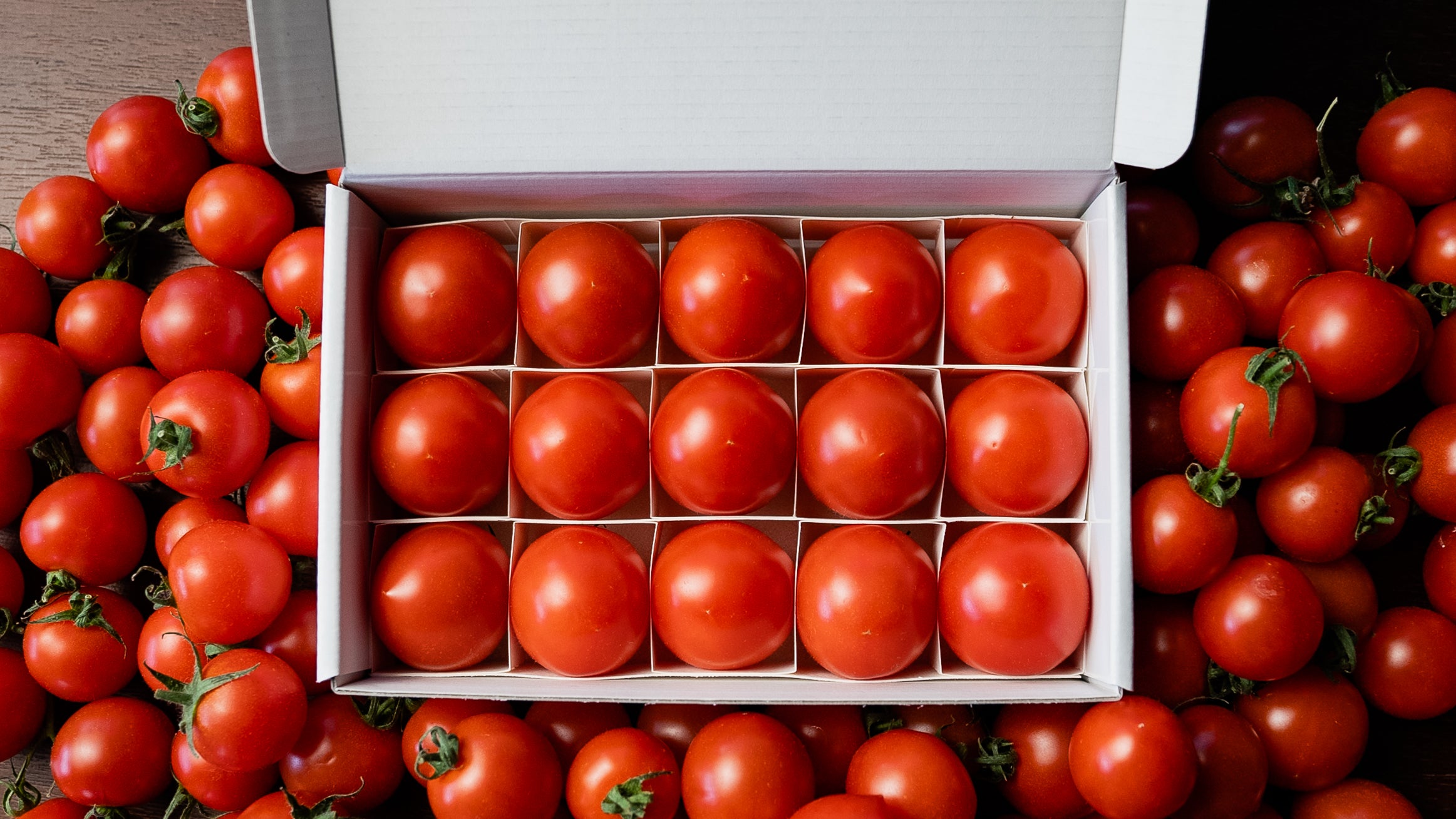 ≪12月15日発売≫ ギフト向け|【糖度9度超】濃厚フルーツトマト「ポモ・ロッサ」≪化粧箱≫