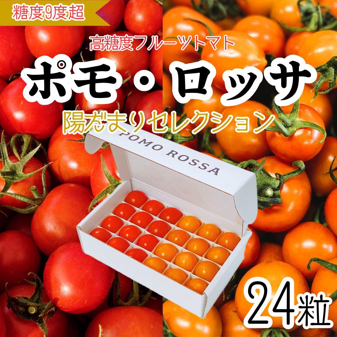 限定ギフト|ポモ・ロッサ 陽だまりセレクション|赤とオレンジ、2種のフルーツトマト食べ比べギフト