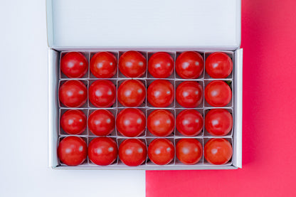 ≪12月15日発売≫ ギフト向け｜【糖度9度超】濃厚フルーツトマト「ポモ・ロッサ」≪化粧箱≫