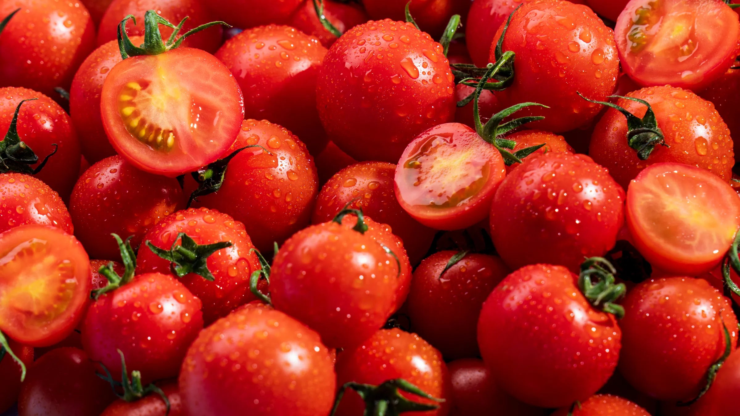 ≪収穫できた時に発送≫ 限定品｜【糖度12度超】極上濃厚フルーツ