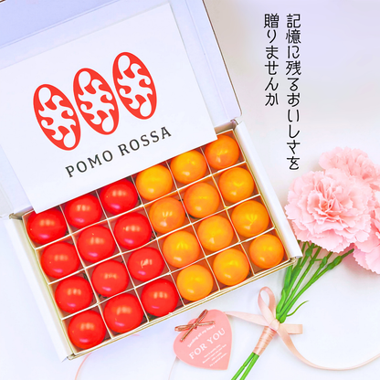 限定ギフト｜ポモ・ロッサ　陽だまりセレクション｜赤とオレンジ、2種のフルーツトマト食べ比べギフト
