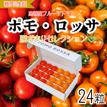 限定ギフト｜ポモ・ロッサ　陽だまりセレクション｜赤とオレンジ、2種のフルーツトマト食べ比べギフト