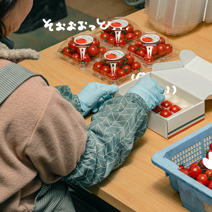 ≪12月15日発売≫ ギフト向け｜【糖度9度超】濃厚フルーツトマト「ポモ・ロッサ」≪化粧箱≫